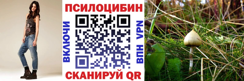 Купить закладки  Тейково  Галлюциногенные грибы MAGIC MUSHROOMS 